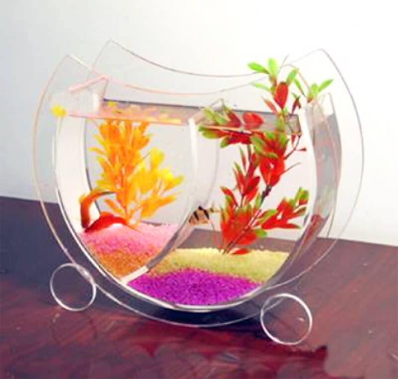 Small Acrylic aquarium