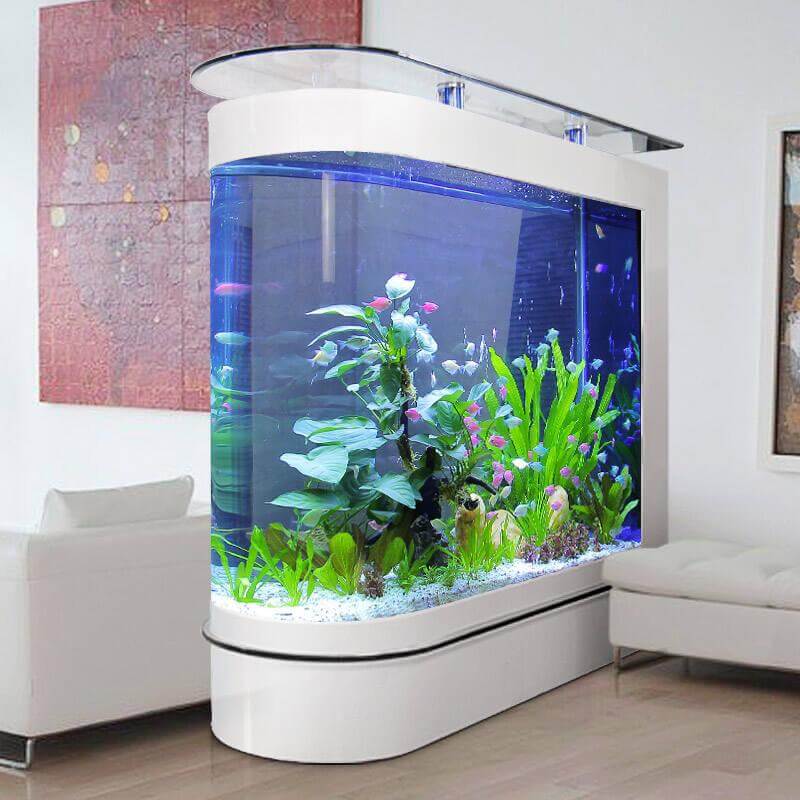 plastic aquarium